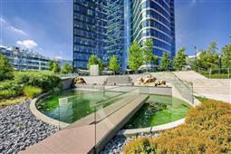 photo_6