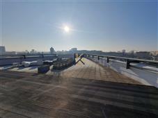 photo_3